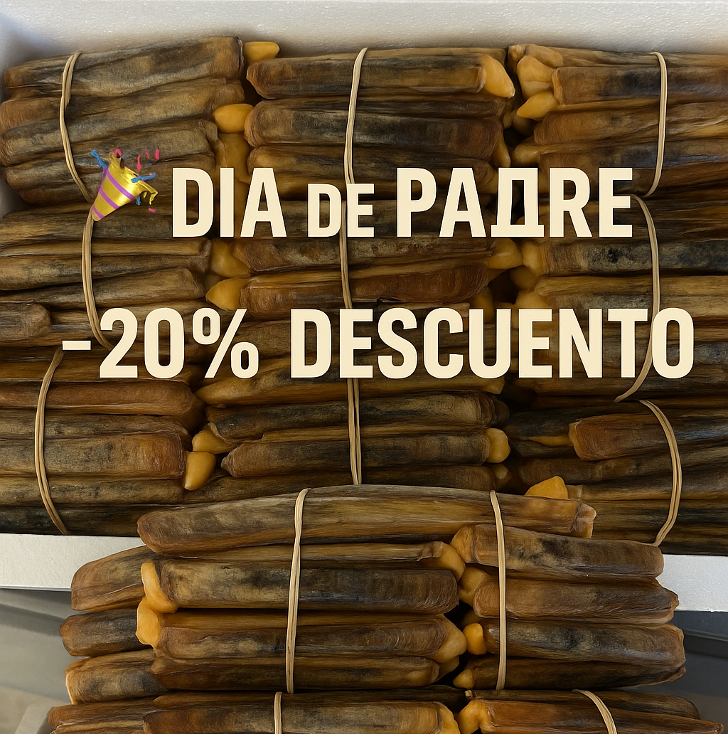 Fallo IA: texto/logos deformados