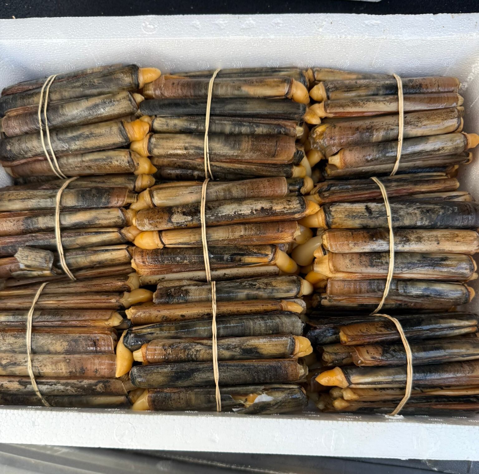 Imagen original base